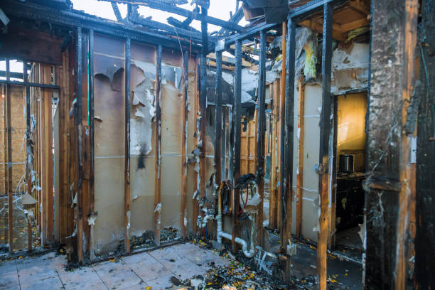 Professional Fire Damage Removal technician working in Temple Hills, MD